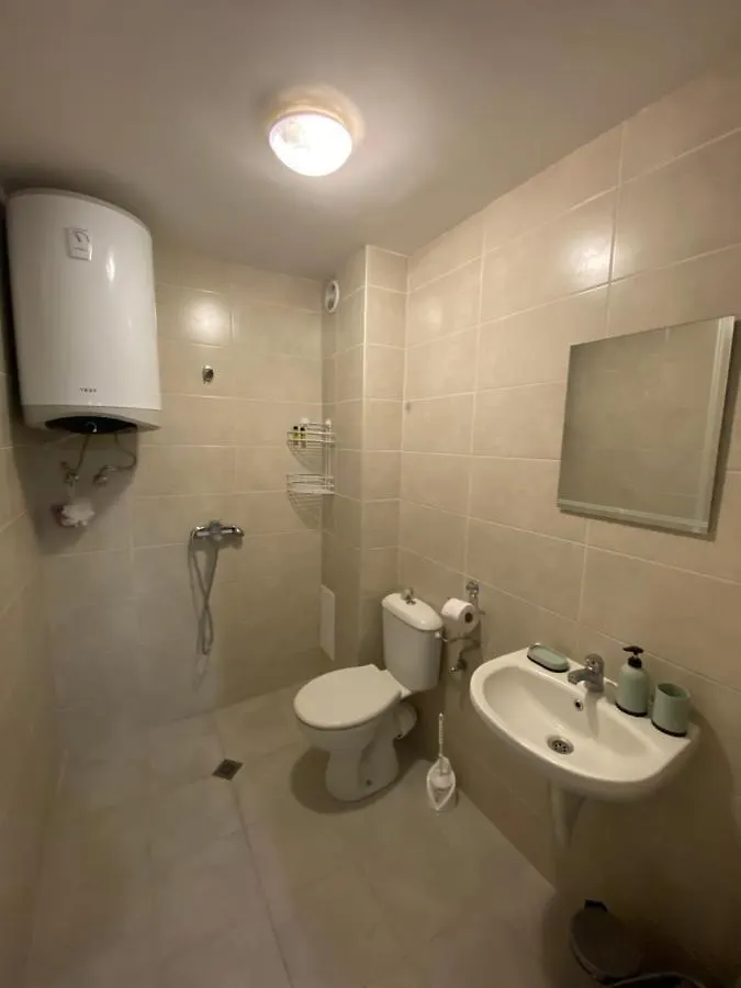 アパート プロヴディフModern 1Br Apart With Cinema Couch 65 Inch Tv & Free Street Parkingアパートメント